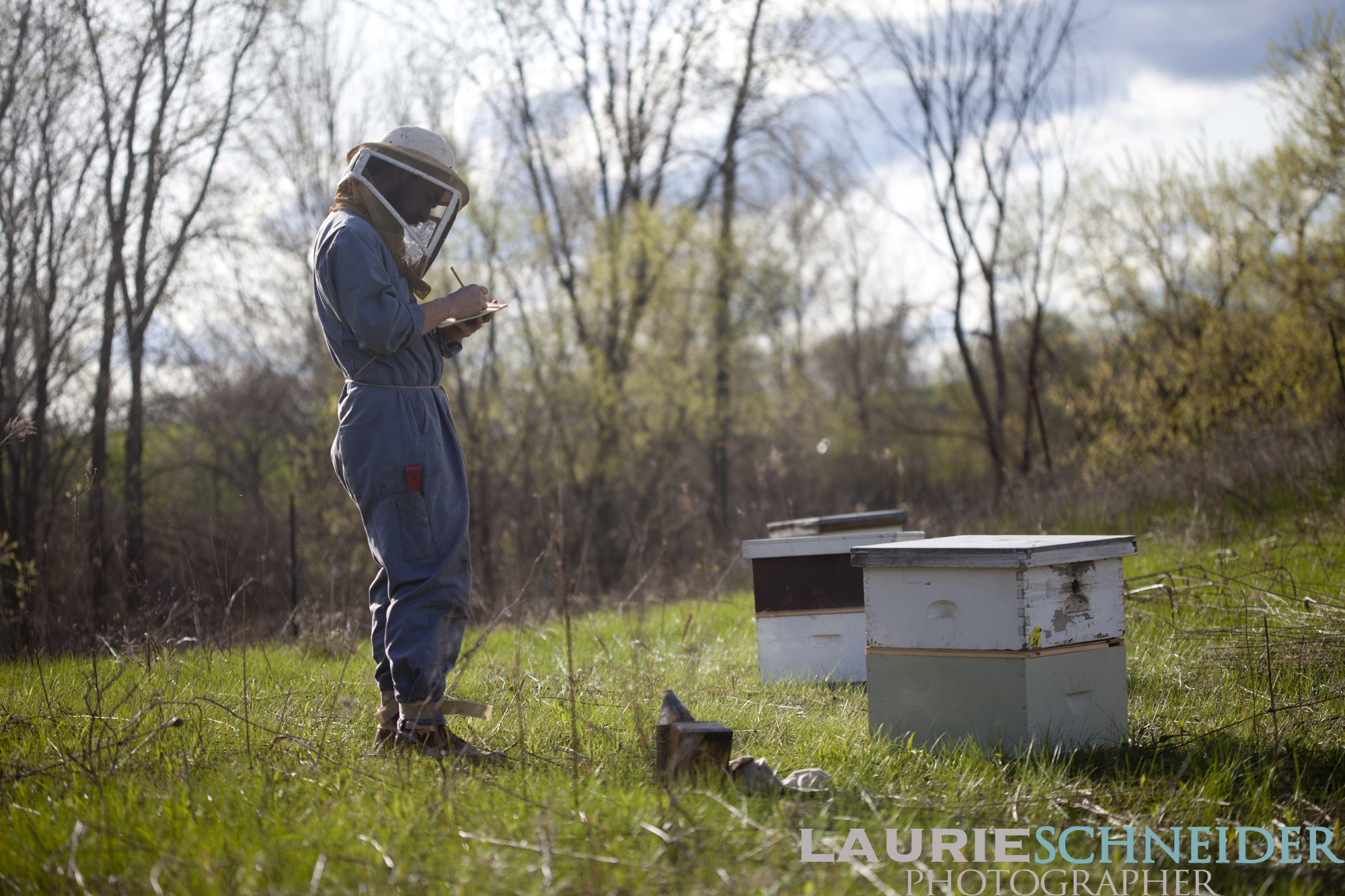 Beekeeper writing notes in the field